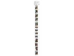 WTF21F12149497H 2022 公示信息