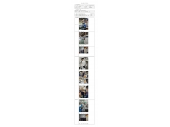 WTZ22F06116901H 2022 公示信息