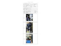 WTZ22F05086550H 2022 公示信息