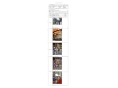 WTZ22F05105453H 2022 公示信息