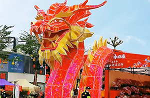 行花街咯喂~佛山沃特全程護航陳村迎春花市食品安全