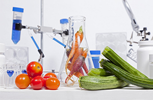 用毫米級檢測精度,打造科學減脂食品競爭力｜沃特賦能企業精準對標「國家版減肥指南」