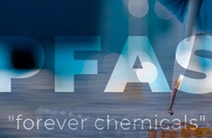 快訊！ECHA發布REACH PFAS限制提案最新進展